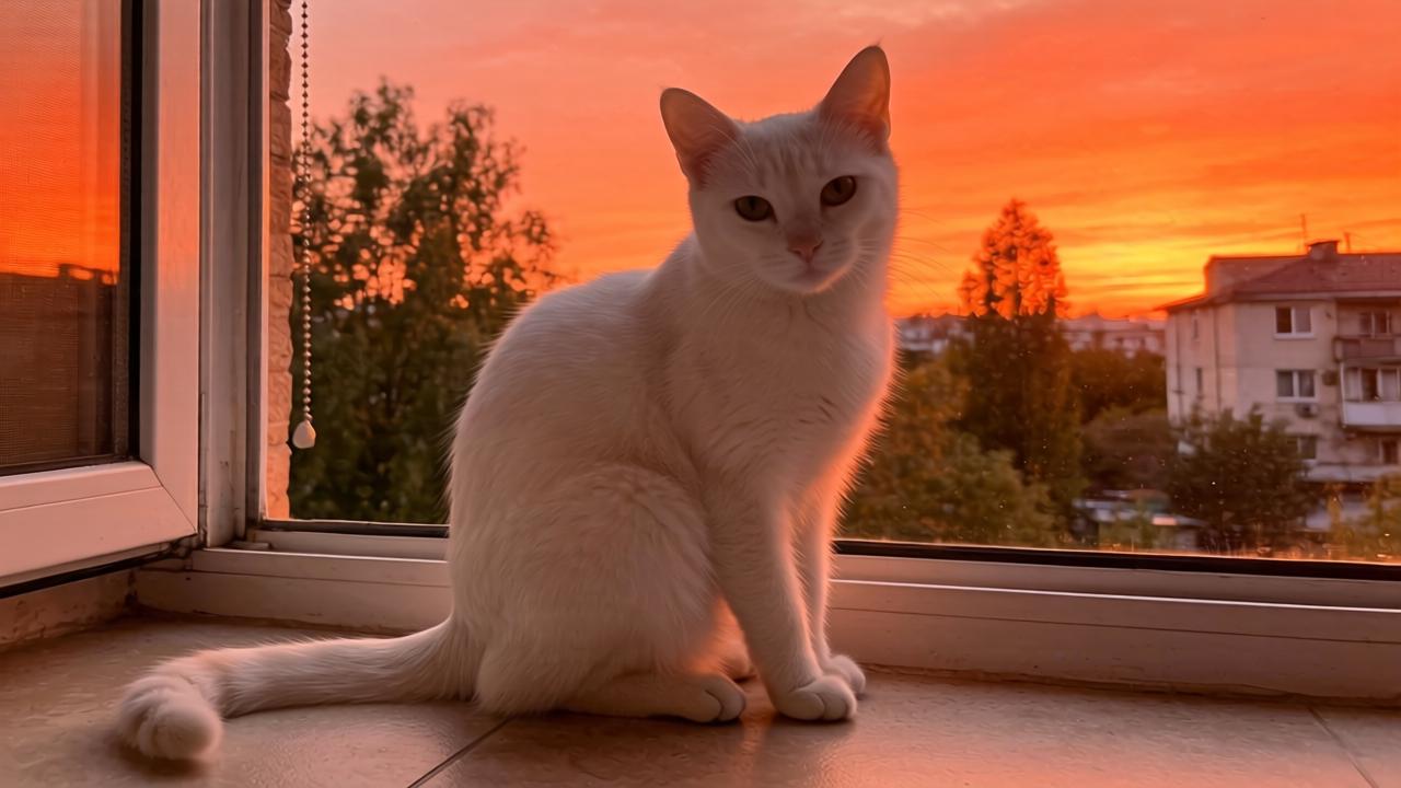 郑恺非诚勿扰分享演戏感悟 生活真实比编剧更精彩第一张图