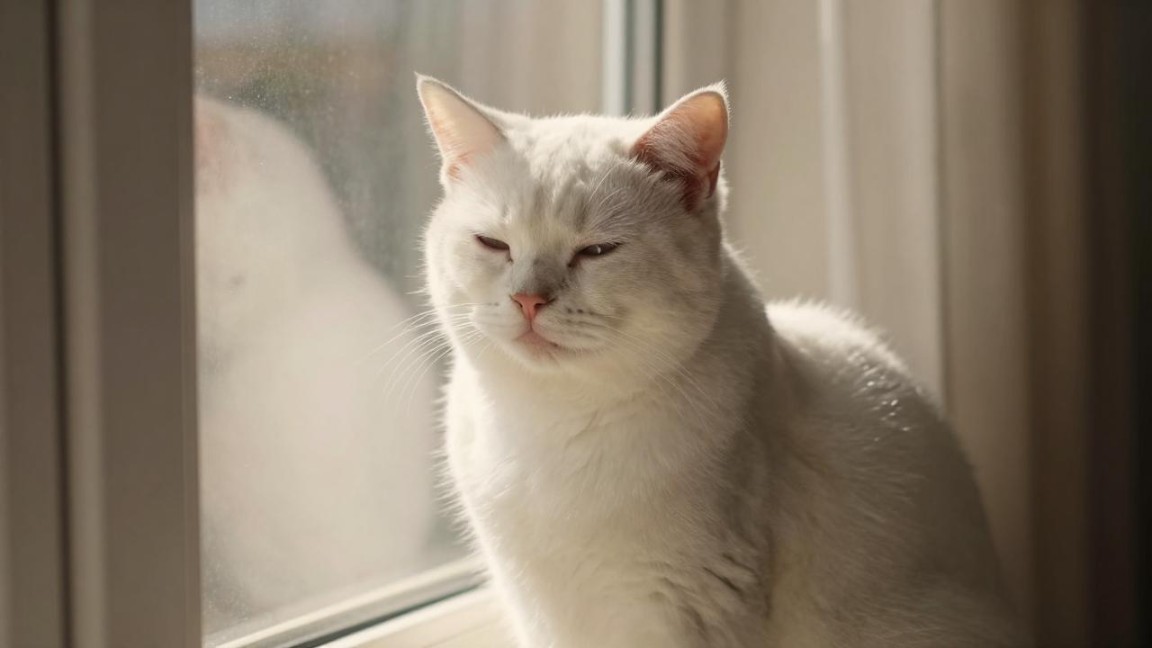 中国联通内蒙古分公司光模块集采结果揭晓，