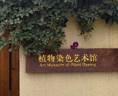 盛夏色彩研习夏令营招募：自然探索、安全体验与艺术创作之旅(图10)