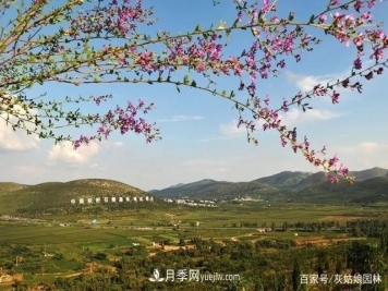 安徽淮北旅游攻略：九个必访景点，探寻古城