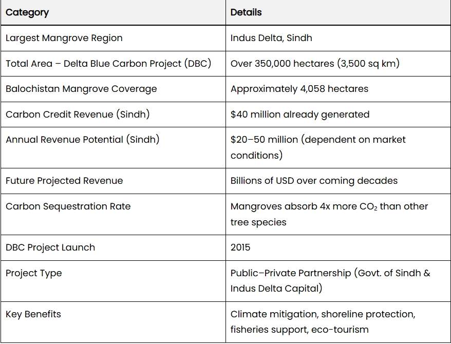 巴基斯坦红树林创造碳信用收益，守护海岸线与绿色经济(图2)