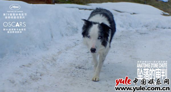 金棕榈佳作剖析婚姻真相，影后中文致意展现细腻演技(图2)