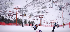 透视关键词解锁“冷冰雪”背后新亮点新趋势(图18)