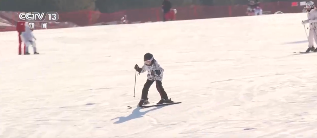 透视关键词解锁“冷冰雪”背后新亮点新趋势(图3)