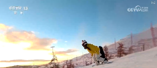 透视关键词解锁“冷冰雪”背后新亮点新趋势(图21)