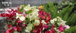 多彩文旅活动将节日氛围“拉满”(图8)