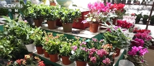 多彩文旅活动将节日氛围“拉满”(图7)