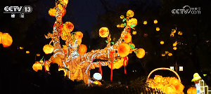 冬季旅游市场升温 中华冰雪盛宴点亮四方(图9)