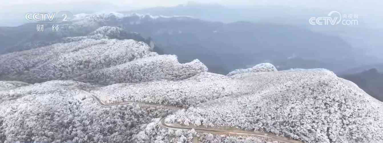 冬日三地奇景：峡谷雪韵 雾凇冰挂 花海绽放(图3)