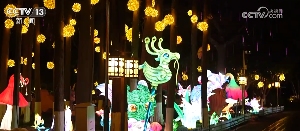 冬季旅游市场升温 中华冰雪盛宴点亮四方(图7)