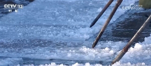 冬季旅游市场升温 中华冰雪盛宴点亮四方(图12)