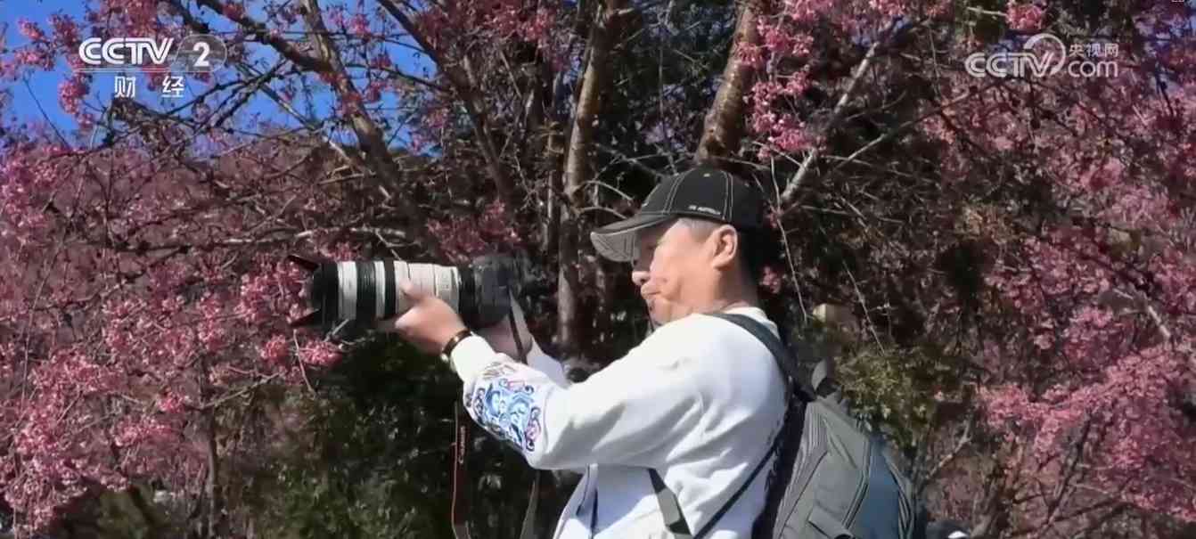 冬日三地奇景：峡谷雪韵 雾凇冰挂 花海绽放(图8)