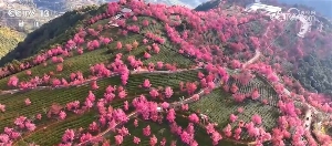 冬季旅游市场升温 中华冰雪盛宴点亮四方(图18)