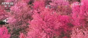 冬季旅游市场升温 中华冰雪盛宴点亮四方(图19)