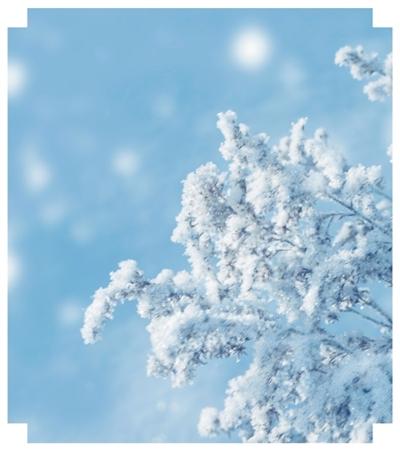 烟台、威海为何成“雪窝”(图1) 烟台、威海为何成“雪窝”(图1)