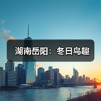 湖南岳阳:冬日鸟趣(图4) 湖南岳阳:冬日鸟趣(图4)