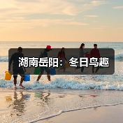 湖南岳阳:冬日鸟趣(图2) 湖南岳阳:冬日鸟趣(图2)