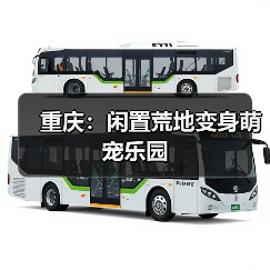 重庆:闲置荒地变身萌宠乐园(图3) 重庆:闲置荒地变身萌宠乐园(图3)
