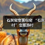 废弃石灰窑变身旅游村 推动村民就业增收 废弃石灰窑变身旅游村 推动村民就业增收