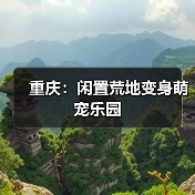 重庆:闲置荒地变身萌宠乐园(图4) 重庆:闲置荒地变身萌宠乐园(图4)