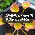 文脉传承 戏韵流芳 国风超有戏走进宁波（图2）