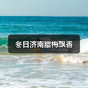 冬日济南腊梅飘香(图2) 冬日济南腊梅飘香(图2)