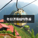 冬日济南腊梅飘香(图4) 冬日济南腊梅飘香(图4)