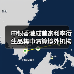 中银香港成首家利率衍生品集中清算境外机构（图3）
