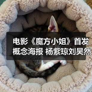 电影《魔方小姐》首发概念海报 杨紫琼刘昊然转动魔方开启人生无限可能(图2) 电影《魔方小姐》首发概念海报 杨紫琼刘昊然转动魔方开启人生无限可能(图2)