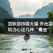赏秋游持续火爆 外出游玩当心这几种“毒虫”(图4) 赏秋游持续火爆 外出游玩当心这几种“毒虫”(图4)