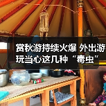 外出游玩需警惕毒虫常见威胁 预防与处理指 外出游玩需警惕毒虫常见威胁 预防与处理指