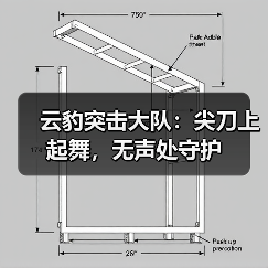 云豹突击大队:尖刀上起舞,无声处守护(图2) 云豹突击大队:尖刀上起舞,无声处守护(图2)