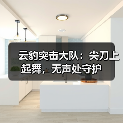 云豹突击大队:尖刀上起舞,无声处守护(图3) 云豹突击大队:尖刀上起舞,无声处守护(图3)