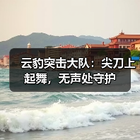 云豹突击大队:尖刀上起舞,无声处守护(图1) 云豹突击大队:尖刀上起舞,无声处守护(图1)