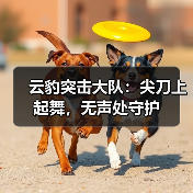 云豹突击大队:尖刀上起舞,无声处守护(图4) 云豹突击大队:尖刀上起舞,无声处守护(图4)
