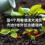 前4个月粤港澳大湾区内地9市外贸连续保持两位数增长（图4）