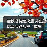 赏秋游持续火爆 外出游玩当心这几种“毒虫”(图2) 赏秋游持续火爆 外出游玩当心这几种“毒虫”(图2)
