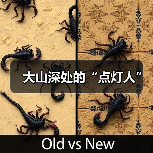 大山深处的“点灯人”（图4）