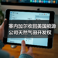 塞内加尔收回美国能源公司天然气田开发权（图4）
