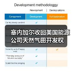 塞内加尔收回美国能源公司天然气田开发权（图2）