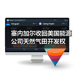塞内加尔终止美企天然气田开发协议 塞内加尔终止美企天然气田开发协议