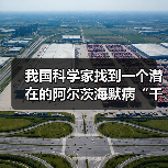 我国科学家找到一个潜在的阿尔茨海默病“干预开关”（图4）