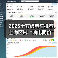 2025十万级电车推荐，上海区域“油电同价”落地指南（图4）