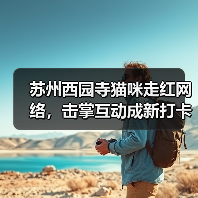 苏州西园寺猫咪走红网络,击掌互动成新打卡点(图3) 苏州西园寺猫咪走红网络,击掌互动成新打卡点(图3)