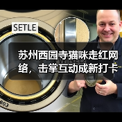 苏州西园寺猫咪走红网络,击掌互动成新打卡点(图2) 苏州西园寺猫咪走红网络,击掌互动成新打卡点(图2)