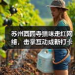 苏州西园寺猫咪走红网络,击掌互动成新打卡点(图1) 苏州西园寺猫咪走红网络,击掌互动成新打卡点(图1)