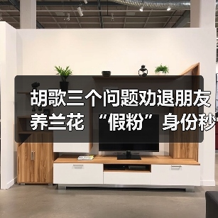 胡歌科普：兰花真相，三