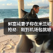 方媛米兰机场遭抢包，证件银行卡全在包内引