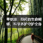 甲状腺：颈间的生命蝴蝶，科学养护守护全身平衡（图4）