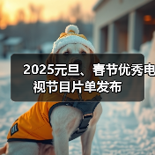 2025元旦、春节优秀电视节目片单发布(图3) 2025元旦、春节优秀电视节目片单发布(图3)